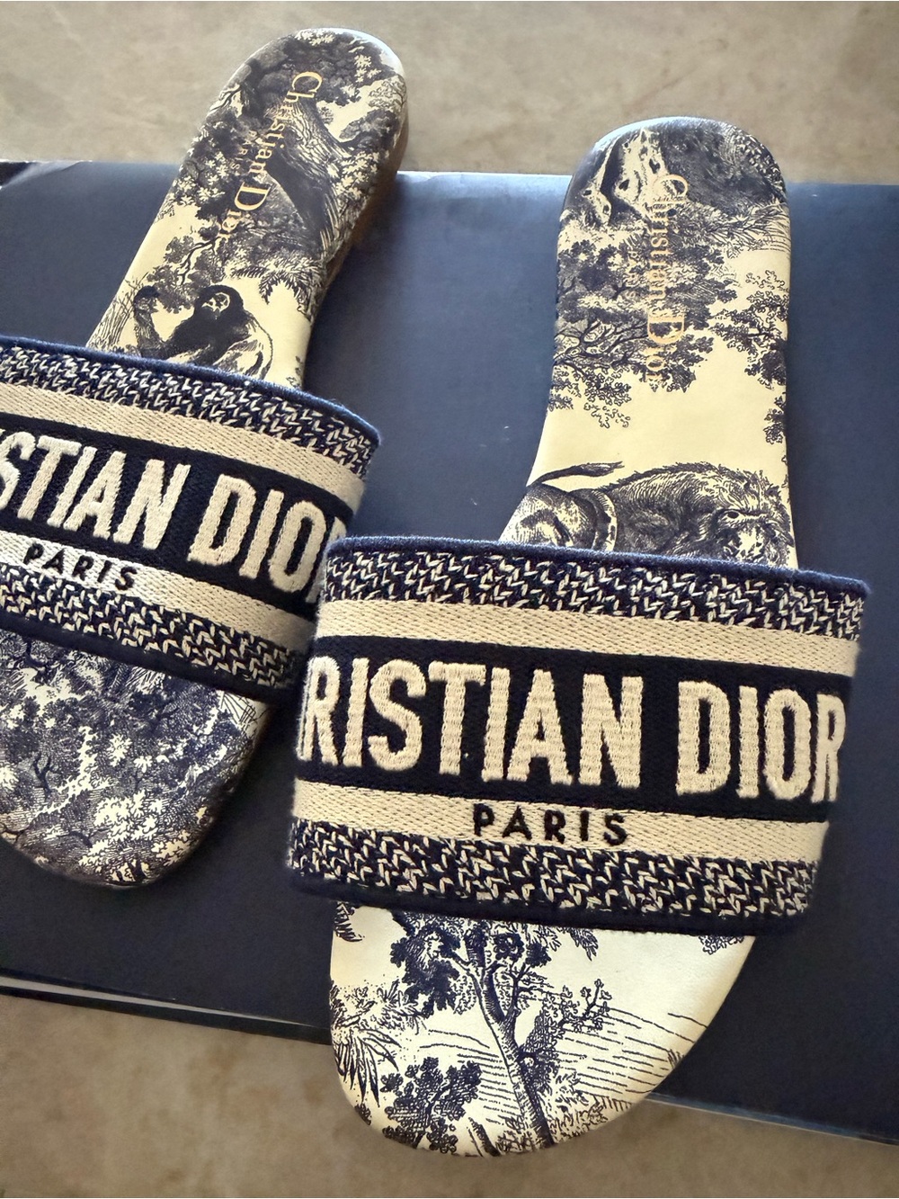 Dior navy slides